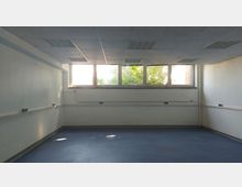 Ein leerer, rechteckiger Raum mit weißen Wänden, blauem Bodenbelag und einer Rasterdecke mit eingebauten Beleuchtungselementen. An der Stirnseite befinden sich mehrere Fenster mit Blick auf grünes Laub, darunter ein langer Heizkörper.