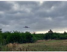 Ein kleines Passagierflugzeug im Landeanflug über einem Feld mit hohem Gras und vereinzeltem Gestrüpp; im Hintergrund dichter grüner Wald und ein bewölkter Himmel.