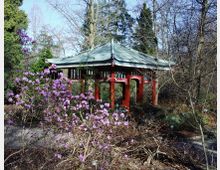 Ein traditioneller Pavillon mit rotem Holzrahmen und grünem geschwungenem Dach steht inmitten eines Gartens mit kahlen Bäumen, Sträuchern und lila blühenden Pflanzen im Vordergrund.