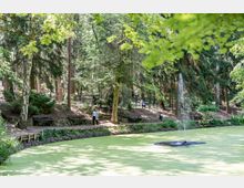 Ein Teich mit grünem Algenbewuchs in einem parkartigen Waldgebiet, umgeben von Bäumen und Sitzbänken; im Hintergrund sind Spaziergänger auf einem Weg mit Stufen zu sehen, und eine kleine Fontäne sprudelt aus der Mitte des Teichs.