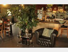 Wohnbereich mit offener Küche und gemütlicher Sitzecke. Im Vordergrund ein großer Gummibaum auf einem Metallwagen neben einem schwarzen Ledersessel, im Hintergrund ein Esstisch und eine Küchenzeile mit Holzschränken und verzierten Fliesen.