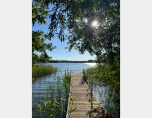 Holzsteg, der durch Schilf und Ufervegetation in einen ruhigen See führt. Überhängende Baumkronen rahmen den Blick, während die Sonne durch die Blätter scheint und sich im Wasser spiegelt.