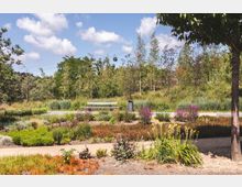 Ein moderner Park mit blühenden Pflanzen und gepflegten Beeten, umgeben von Bäumen. Im Hintergrund sind eine Sitzbank, ein Mülleimer und eine Seilbahn zu sehen, während der Himmel klar und leicht bewölkt ist.
