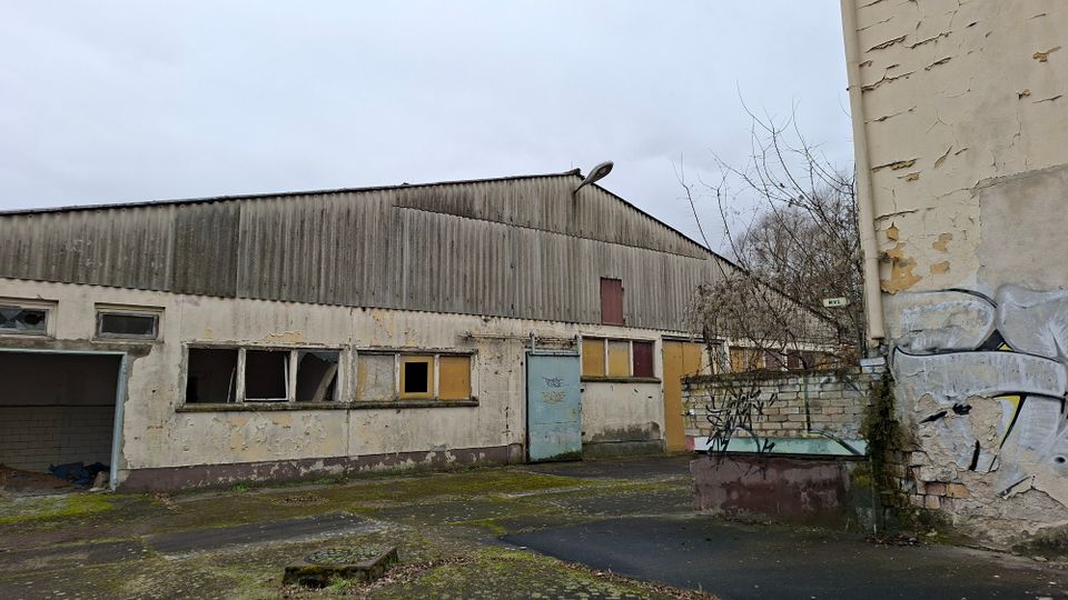 Verlassene Industriehalle mit Wellblechdach und verwitterter Fassade, teils zerbrochenen Fenstern und mehreren Türen an der Front. Davor liegt ein leerer, rissiger Hof mit Moosbewuchs, einer niedrigen Mauer mit Graffiti und kahlen Sträuchern am Rand.