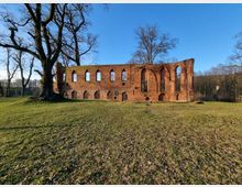 Ruine eines historischen Backsteingebäudes mit gotischen Bögen und hohen Fensterausschnitten, umgeben von einer grasbewachsenen Fläche und kahlen Bäumen unter klarem, blauem Himmel.