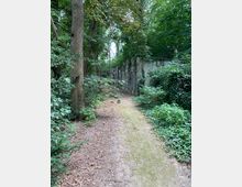 Ein schmaler, unbefestigter Weg führt durch einen bewaldeten Bereich mit dichtem grünen Blattwerk. Rechts neben dem Weg ist eine Reihe von alten, verwitterten Steinmauern oder Grabmälern zu sehen, die teilweise von Pflanzen bewachsen sind.