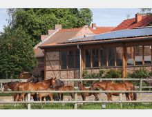 Mehrere Pferde stehen auf einer eingezäunten Weide vor einem Gebäude aus Backstein mit Holzverkleidung und großen Fenstern. Auf dem Dach des Gebäudes sind Solarpanels installiert, und im Hintergrund sind Bäume sichtbar.