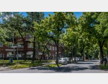 Straßenszene in einem Wohnviertel mit roten Backsteingebäuden im Hintergrund, umgeben von zahlreichen hohen, dicht belaubten Bäumen. Entlang der Straße parken Autos, und ein Straßenschild mit Wegweisern ist sichtbar.