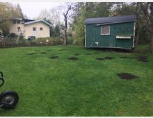 Ein Garten mit grünem Rasen, auf dem mehrere dunkle Erdstellen verteilt sind. Im Hintergrund stehen ein hellgelbes Haus mit Flachdach und ein grüner Bauwagen mit Hufeisen an der Wand.