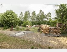 Weite Garten- oder Hoffläche mit gestapeltem Brennholz, umgeben von Bäumen und dichter Vegetation. Im Vordergrund befindet sich eine kahle, teils verbrannte Bodenstelle, während im Hintergrund weitere Holzhaufen und Backsteine sichtbar sind.