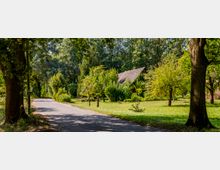Schmaler asphaltierter Weg, der durch eine ländliche Landschaft mit vielen Bäumen und grünen Sträuchern führt. Im Hintergrund steht ein Gebäude mit einem steilen Schilfdach, umgeben von dichtem Grün.