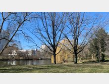Städtischer Park mit kahlen Bäumen im Winter, ein Teich im Vordergrund und moderne Wohngebäude im Hintergrund bei klarem Himmel. Der Weg führt an einer Gelbweide und weiteren Grünflächen entlang.