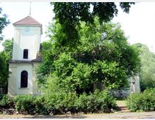 Gelbe Dorfkirche mit einem quadratischen Turm und einem kleinen Uhrzifferblatt, umgeben von dichten Bäumen und Büschen, die Teile der Fassade verdecken. Im Vordergrund befindet sich ein Weg mit niedrigen Steinbegrenzungen.