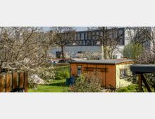 Kleingartenanlage mit vereinzelten blühenden Bäumen und Büschen, einem orangefarbenen Gartenhaus im Vordergrund und modernen Gebäuden im Hintergrund. Die Szene zeigt eine Mischung aus urbanem und grünem Umfeld.