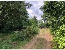 Ein unbefestigter Weg führt durch eine grüne, dicht bewaldete Landschaft und endet an einem Holztor. Der Bereich ist von Bäumen und Sträuchern umgeben, mit vereinzeltem Blick auf den Himmel durch die Baumkronen.
