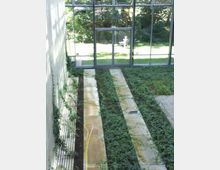 Innenraum eines Gebäudes mit bepflanztem Bodenbereich in rechteckigen Beeten, flankiert von einer hellen Wand mit Kletterpflanzen. Im Hintergrund eine große Glasfassade mit Blick auf eine grüne Außenanlage und eine sitzende Person.