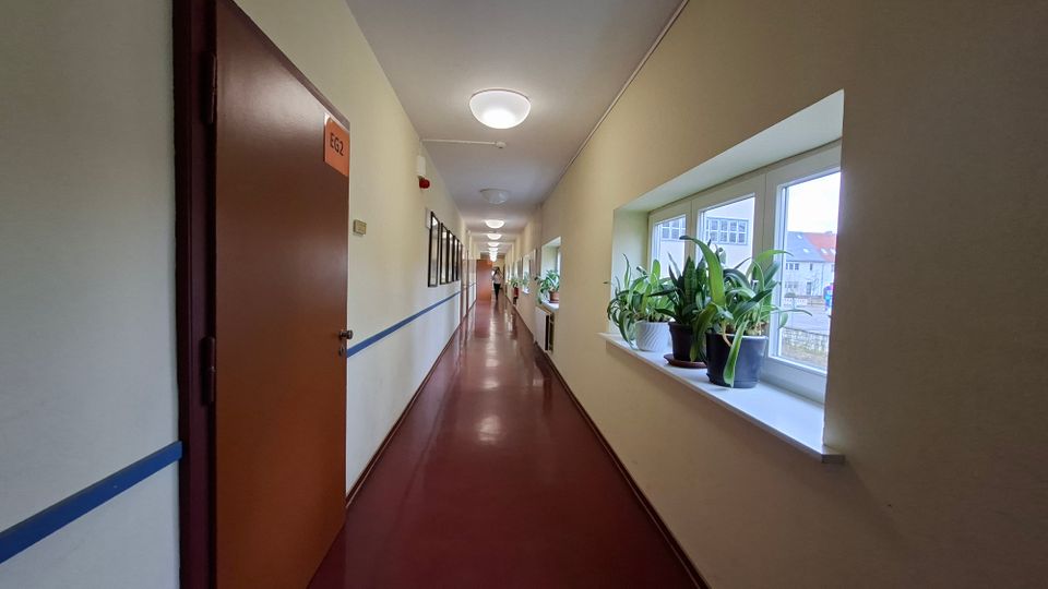 Langer, schmaler Flur in einem Gebäude mit rotem Boden, beigefarbenen Wänden und Deckenleuchten, links mit mehreren Türen und gerahmten Bildern. Rechts befindet sich eine Reihe großer Fenster mit Fensterbänken, auf denen mehrere Topfpflanzen stehen, mit Blick nach draußen auf umliegende Gebäude.