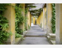 Überdachter Gang mit gelben, von Efeu und Kletterpflanzen bewachsenen Säulen, einer Holzpergola und einer geöffneten weißen Tür am Ende, die zu einem verglasten Bereich führt. Der Boden besteht aus glattem, grauem Beton.