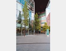 Moderne Glasfassade eines Gebäudekomplexes am Sony Center in Berlin mit großen Fenstern, davor eine gepflasterte Fläche und mehrere junge Bäume; im Hintergrund Schilder mit der Aufschrift „IMAX“.