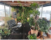 Innenraum eines urbanen Wintergartens oder Gewächshauses mit vielen Pflanzen in Töpfen und Kletterpflanzen an einer Backsteinwand. Im Vordergrund stehen ein schwarzer Ledersessel, Lautsprecher und andere Gegenstände auf einem offenen Metallgitterboden; durch die Glaswände ist eine Wasserlandschaft mit Gebäuden im Hintergrund zu sehen.