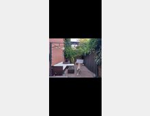 Ein gepflasterter Hinterhof mit roten Backsteinwänden und Holzzäunen, eingerahmt von Pflanzen und Klettergewächsen. Gartenmöbel mit Polstern stehen unter einer Metallpergola, und ein großer Hund streckt sich in der Mitte des Hofs.