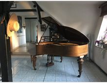 Ein Wohnzimmer mit einem aufklappbaren Flügel aus Holz auf gefliesten Böden. Im Hintergrund befinden sich eine Tür, eine Treppe und dekorative Elemente, während rechts auf einer Fensterbank Pflanzen stehen.