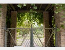 Metalltor in einem Pavillon mit Backsteinsäulen, überwachsen von dichtem Weinlaub. Dahinter ist ein Weg erkennbar, der von Grünflächen und Bäumen gesäumt ist.