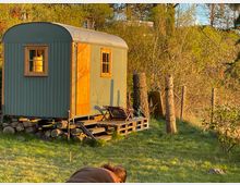 Ein kleiner grüner Bauwagen mit Holzverkleidung an Tür und Fenstern steht in einer natürlichen Umgebung mit Gras, Bäumen und Sträuchern. Neben dem Wagen befinden sich Holzscheite, eine kleine Treppe und eine Sitzbank.