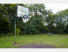 Basketballplatz in einem Park mit einem Graffiti-bedeckten Basketballkorb und einer grünen Bank im Hintergrund, umgeben von dichtem Baumbewuchs und einer überwucherten Wiese.