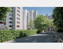 Mehrstöckige Wohngebäude mit hellen Fassaden und roten Fensterrahmen, umgeben von gepflegten Hecken und blühenden Bäumen entlang einer asphaltierten Straße bei Tageslicht.