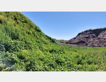 Bewachsene Hügel aus grünem Gras und Sträuchern neben einem freiliegenden Hang aus dunkler, erdiger Böschung unter einem klaren blauen Himmel.