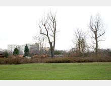 Eine Grünfläche mit vereinzelten kahlen Bäumen im Vordergrund, dahinter Sträucher und kleine Gebäude mit roten Dächern. Im Hintergrund sind Wohnblocks und weitere moderne Gebäude zu sehen.