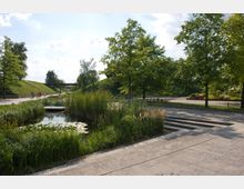 Eine moderne Parklandschaft mit einem kleinen Teich voller Seerosen, umgeben von hohen Gräsern. Im Hintergrund befinden sich Gehwege, vereinzelte Bäume und eine Wiese, während Treppen im Vordergrund zu einer gepflasterten Fläche führen.