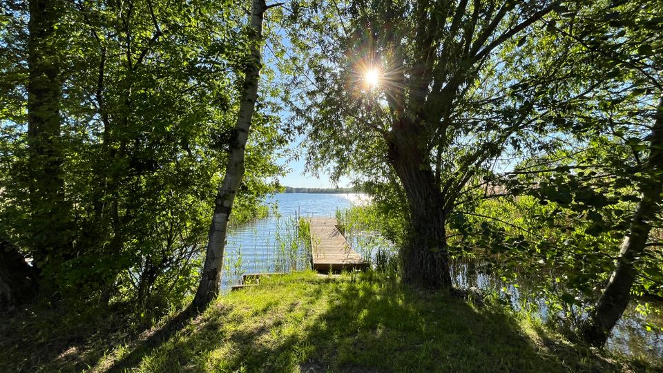 Blick durch dichtes Ufergehölz auf einen ruhigen See mit kleinem Holzsteg, umgeben von Schilf. Sonnenlicht fällt durch die Baumkronen und wirft lange Schatten auf die grasige Uferstelle.