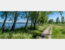 Ein schmaler, unbefestigter Weg verläuft entlang eines Sees mit blauem Wasser, flankiert von schlanken Bäumen und grüner Vegetation. Im Hintergrund sind weitere Bäume und eine leicht hügelige Landschaft unter klarem, blauem Himmel zu sehen.
