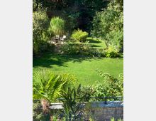 Ein gepflegter Garten mit einer großen Rasenfläche, umgeben von Büschen, Bäumen und tropischen Pflanzen im Vordergrund. Im Hintergrund steht eine kleine Sitzgruppe auf einer Steinfläche, eingebettet in dichtes Grün.