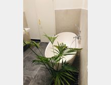 Modernes Badezimmer mit freistehender, weißer Badewanne, grauem Fliesenboden und beigen Wandfliesen. Im Vordergrund steht eine grüne Zimmerpflanze, links ist ein Waschbecken erkennbar, und im Hintergrund eine weiße Tür mit goldener Griffgarnitur.