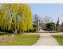 Ein Park mit einem geschwungenen Weg, der zwischen grünen Rasenflächen und einem hohen Baum mit herabhängenden Ästen und gelb-grünem Laub verläuft. Im Hintergrund sind Büsche, Laternen, ein Zaun und ein modernes Gebäude mit einer Turmstruktur sichtbar.