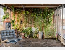 Ein Innenraum mit einer Ziegelwand, die von vielen hängenden und stehenden grünen Pflanzen bedeckt ist. Auf dem Boden steht ein schwarzer Ledersessel, daneben ein Lautsprecher und diverse Töpfe mit Pflanzen, umgeben von Metallregalen und großen Fenstern.