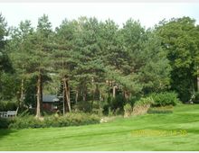 Bewaldeter Garten mit einer Rasenfläche im Vordergrund, hohen Kiefern im Hintergrund und einem kleinen, dunklen Gebäude, das teilweise hinter den Bäumen verdeckt ist. Umliegende Sträucher und Blumenbeete säumen die Szene.