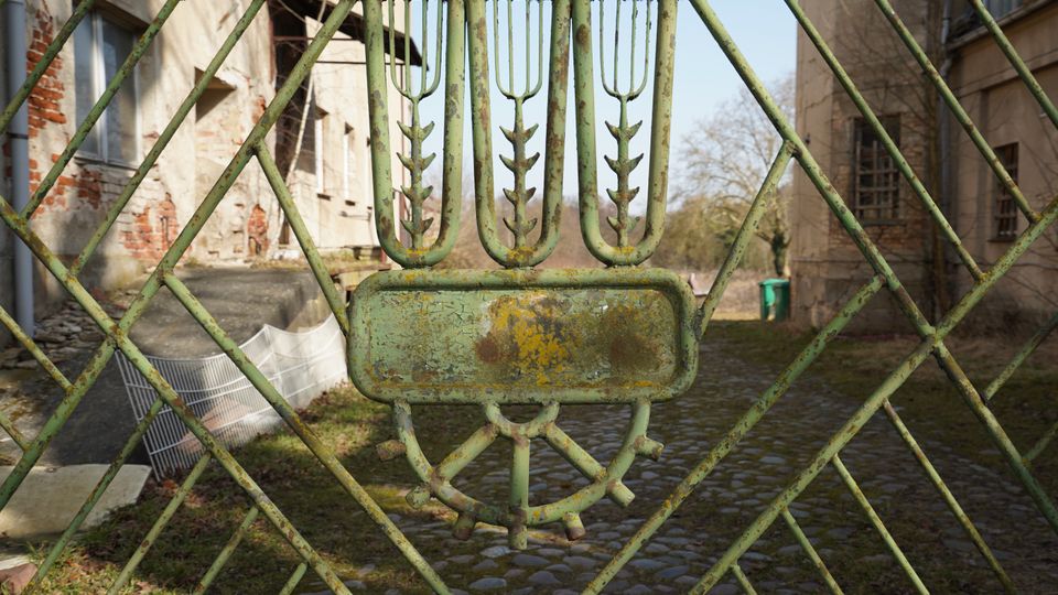 Nahaufnahme eines verwitterten, grün lackierten Metalltors mit rautenförmigem Gittermuster und dekorativem Emblem in der Mitte. Dahinter liegt ein gepflasterter Hof zwischen alten, teilweise beschädigten Gebäudefassaden.