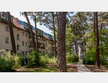 Wohnhäuser mit beigen Fassaden und roten Ziegeldächern, umgeben von hohen Kiefern und dichter Vegetation; ein gepflasterter Fußweg führt durch den bewaldeten Bereich.