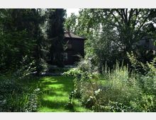 Ein dunkles Holzhaus steht inmitten eines dicht bewachsenen Gartens mit hohen Bäumen, Sträuchern und einer Rasenfläche im Vordergrund. Sonnenlicht dringt stellenweise durch das Blätterdach und beleuchtet die Vegetation.