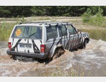 Ein SUV im Zebra-Muster mit der Aufschrift „Rent a Jeep“ auf der Heckscheibe fährt durch eine schlammige Wasserpfütze in einer bewaldeten Umgebung. Im Hintergrund sind Sandboden und Bäume zu erkennen.