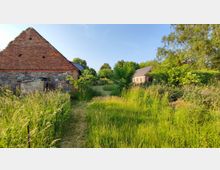 Großer, überwucherter Garten mit hohem Gras und Bäumen, umgeben von alten Gebäuden aus Backstein und Bruchsteinmauerwerk. Die Szene zeigt eine ländliche Umgebung bei Sonnenschein, mit einem klaren Himmel im Hintergrund.