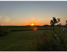 Sonnenuntergang über einer ruhigen Landschaft mit grünen Wiesen, Hügeln und einzelnen Bäumen. Im Vordergrund sind Büsche und Disteln zu sehen, der Himmel ist in Orange- und Blautönen gefärbt.