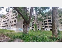 Verlassener Plattenbau mit mehreren Etagen und fehlenden Fenstern, umgeben von Gras und Bäumen. Die Fassade ist teilweise mit Graffiti bedeckt, und die Umgebung wirkt überwuchert durch dichten Pflanzenbewuchs.