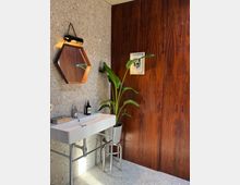 Modern bathroom corner with a white wall-mounted sink on chrome legs, a hexagonal wood-framed mirror with a light above it, and terrazzo-style walls and floor. A tall potted plant sits beside a large wood-paneled wall with a small framed picture.