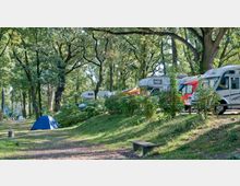 Campingplatz mit Wohnmobilen und Zelten in einem bewaldeten Gebiet. Im Vordergrund steht ein blaues Zelt auf einer Wiese, im Hintergrund befinden sich mehrere Wohnmobile und Bäume mit dichtem Laub.